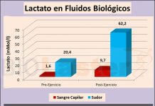 Influencia del sudor en el análisis del lactato sanguíneo – Biolaster