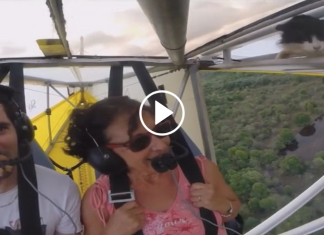 Un gato aparece en pleno vuelo por sorpresa