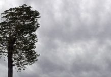 Aviso amarillo por vientos fuertes a partir de medianoche en Euskadi