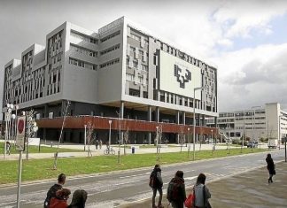 La Universidad del País Vasco es la tercera del Estado con más casos de acoso sexista