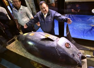 Un atún de 278 kilogramos alcanzó el precio récord de 3,1 millones de dólares
