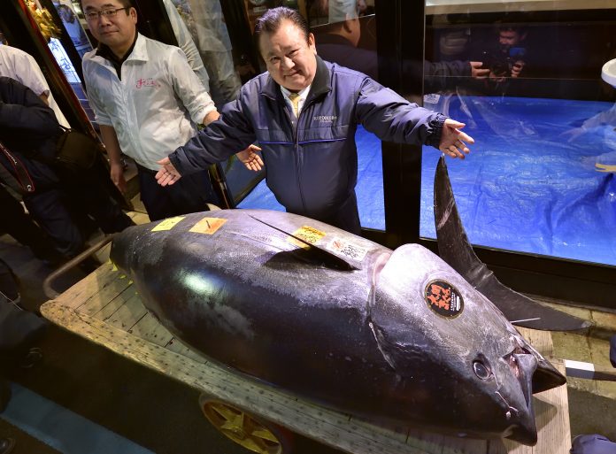 JAPAN-FLIFESTYLE-FISHING-AUCTION-FOOD-TUNA