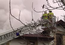 Cuatro personas trasladadas al hospital tras diversos incendios en Bizkaia