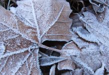 Activados avisos amarillos por heladas y temperaturas mínimas para estos días