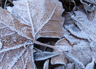 Activados avisos amarillos por heladas y temperaturas mínimas para estos días