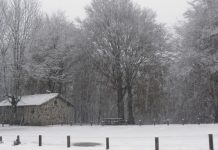 Mañana la cota de nieve descenderá hasta los 200-400 metros
