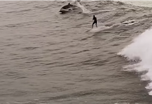 Un grupo de delfines se une a un surfista