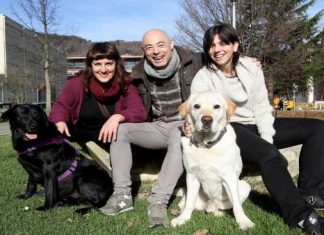 La UPV/EHU estudiará la prevención del suicidio mediante psicoterapia asistida con animales