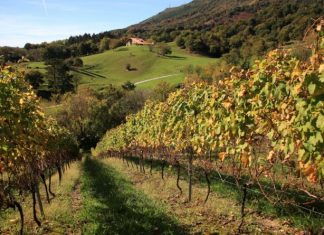 La Diputación aprueba las ayudas compensatorias al sector agrario en zonas de agricultura de montaña o con limitaciones naturales