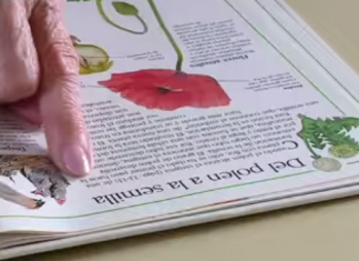 La mujer de 99 años que ha regresado a la escuela