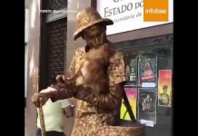 El «perro estatua» que sorprende al mundo