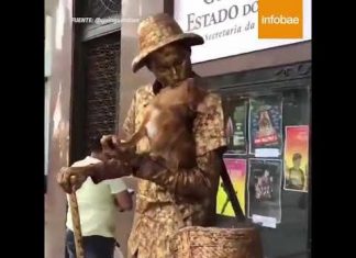 El «perro estatua» que sorprende al mundo