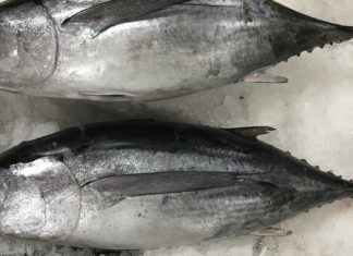 Bonito a la plancha, marmitako, tataki… ¿Cómo preparar bonito? Serrats te lo explica