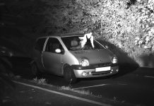 Una paloma se cuela en una fotografía de un radar y evita la multa