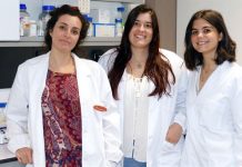 La Asociación Norteamericana de Alzheimer financiará un estudio en el centro ‘Achúcarro’