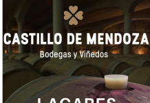 Castillo de Mendoza : historia del vino, lagares rupestres