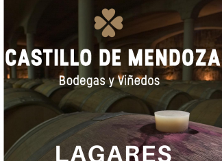 Castillo de Mendoza : historia del vino, lagares rupestres