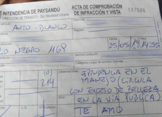 Una mujer multada por circular con “exceso de belleza”