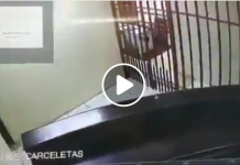Un preso de fuga de la celda colándose entre los barrotes