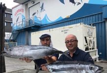 Los primeros bonitos del norte ya están en nuestras conserveras. Informa Serrats
