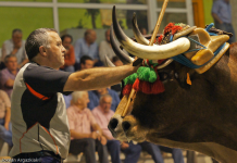 La Agencia Vasca Antidopaje comienza a realizar controles en pruebas con animales