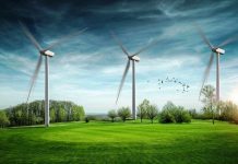 Los edificios públicos vascos utilizarán energía eléctrica 100% renovable