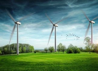Los edificios públicos vascos utilizarán energía eléctrica 100% renovable
