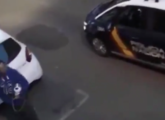Sancionado por salir a la calle a pasear un perro de peluche en Palencia