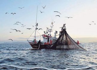 Realizarán pruebas PCR a todos los pescadores que embarquen en Euskadi