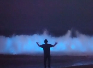 Olas bioluminiscentes en Newport Beach