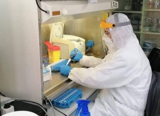 Validados cinco nuevos centros vascos para realizar pruebas PCR