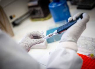 Una empresa vasca producirá la vacuna contra la COVID-19 de la Universidad de Harvard