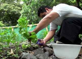 La Diputación de Bizkaia aprueba destinar 1.600.000 euros a las ayudas de agroambiente y clima y agricultura ecológica