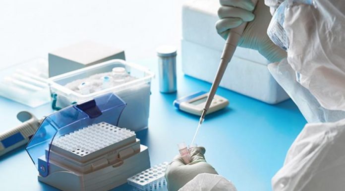 387 positivos en Euskadi tras realizar 7.316 pruebas PCR