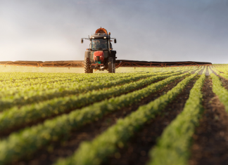 La Diputación de Bizkaia financiará con 85.000 euros la actividad de las asociaciones de personas productoras del sector agrícola