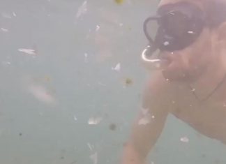 Espeluznantes imágenes muestran la basura marina en Alicante