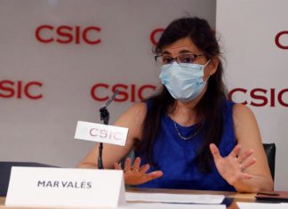 El CSIC consigue un test de anticuerpos con un 98% de fiabilidad