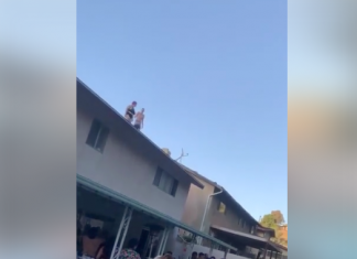 Accidentado salto de una joven desde un tejado a la piscina
