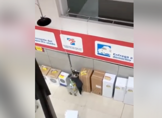 Curioso robo de jamones en un supermercado de Guadalajara