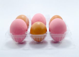 La UPV/EHU crea el proyecto «SOSPACK», cuyo objetivo es utilizar envases sostenibles como alternativa al plástico