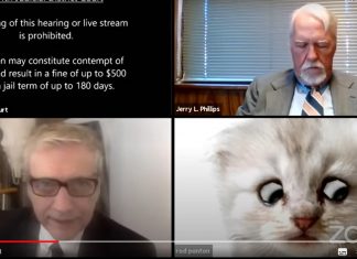 VIRAL: Un abogado activa por error un filtro en un juicio virtual: «Estoy aquí de verdad, no soy un gato»