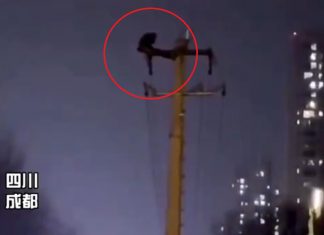 VIRAL: Produce un apagón por subirse a un poste de luz para hacer abdominales
