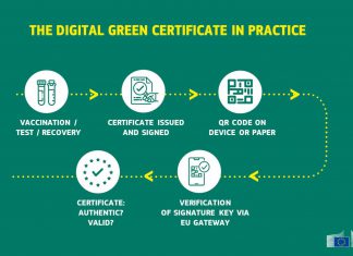 La Comisión Europea presenta el ‘Certificado Digital Verde’ que mostrará la información sanitaria del viajero