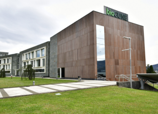 Empresas de Euskadi desarrollarán test serológicos para detectar anticuerpos contra el SARS-CoV-2