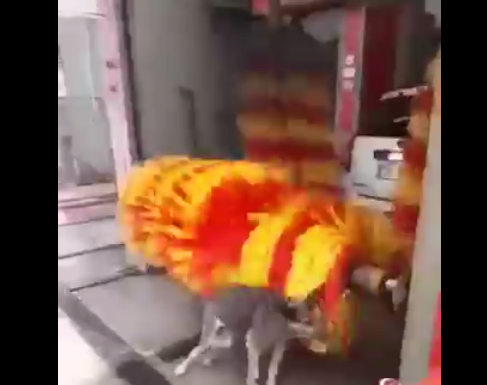 ¿Quién no quisiera un masaje así?