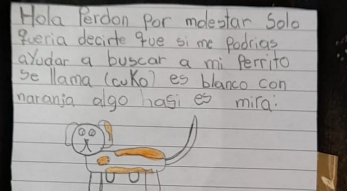 El cartel de una niña que busca a su perro enternece a las redes