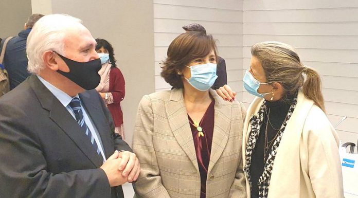 La Diputación de Bizkaia apuesta por una atención coordinada y protocolizada en Inclusión Social según las necesidades de cada persona