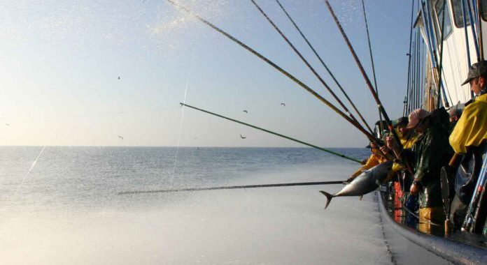 Día Mundial de la Pesca: ¿qué podemos hacer a favor de la sostenibilidad? Conservas Serrats te da las claves
