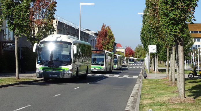 Bizkaibus ha incrementado su demanda en 2021 un 24% respecto a 2020