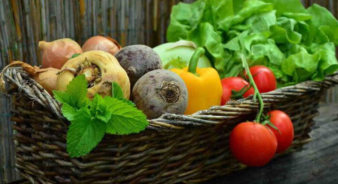 Alimentos kilómetro 0, ecológicos, orgánicos, biológicos… ¿Qué son? ¿Cuáles son las diferencias? Serrats te lo aclara